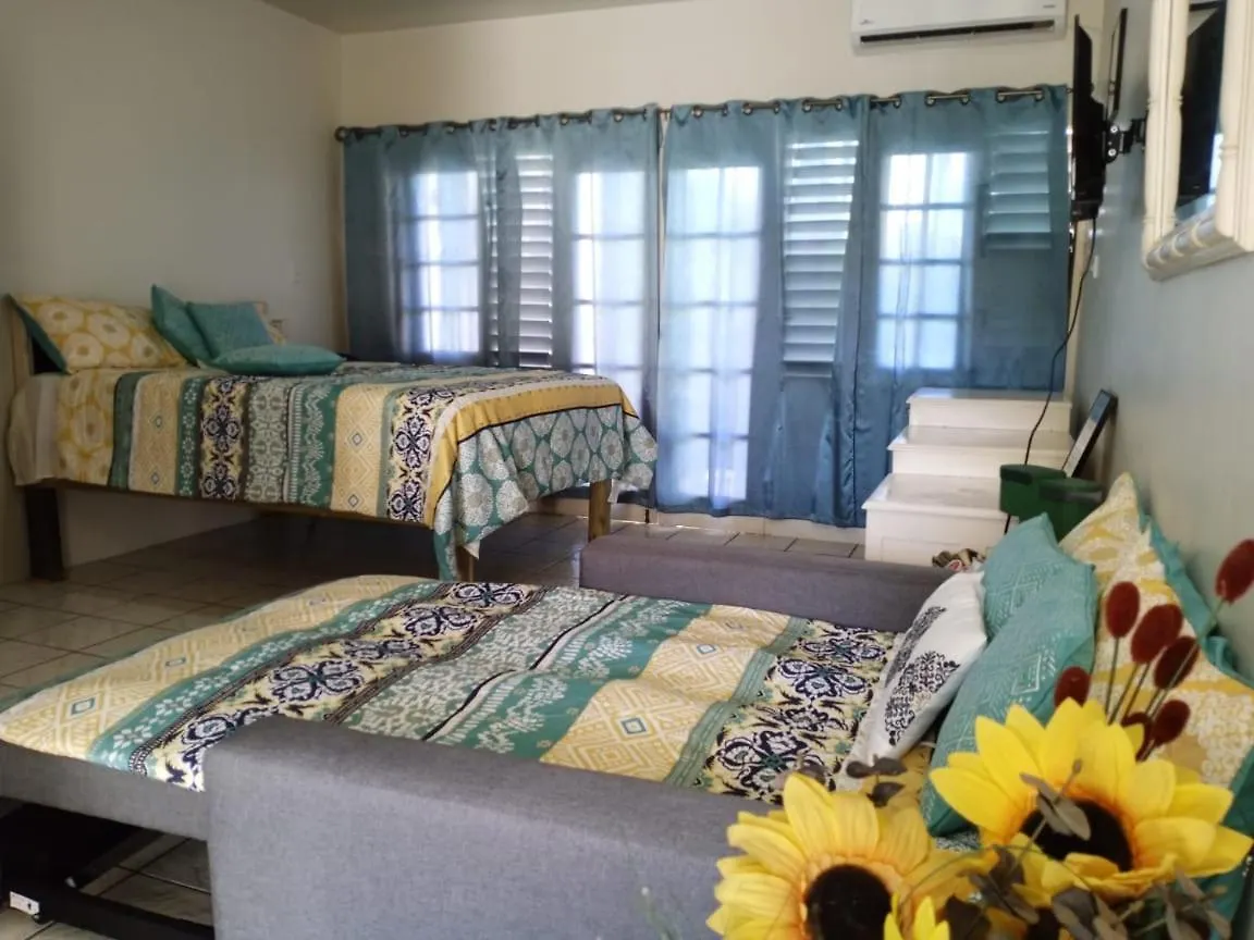 Ridgeway Guest House Montego Bay